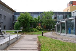 Green roof with lawn and trees